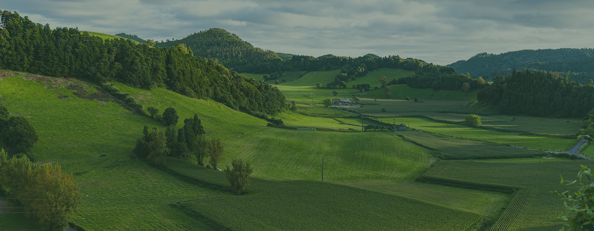 main-banner-11.jpg